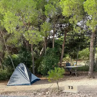 Valencia Camper Park Instagram 2